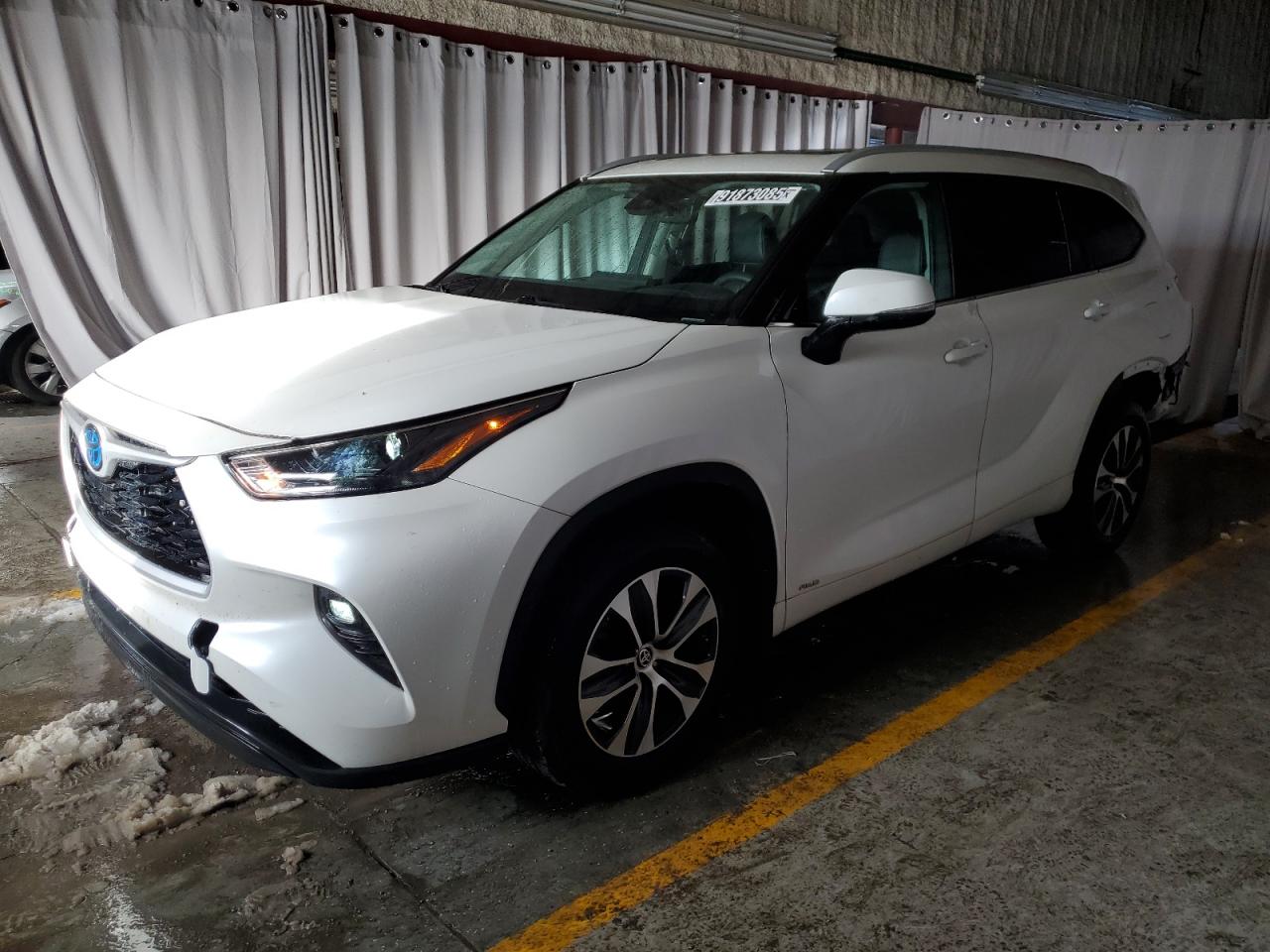 TOYOTA HIGHLANDER HYBRID 2023