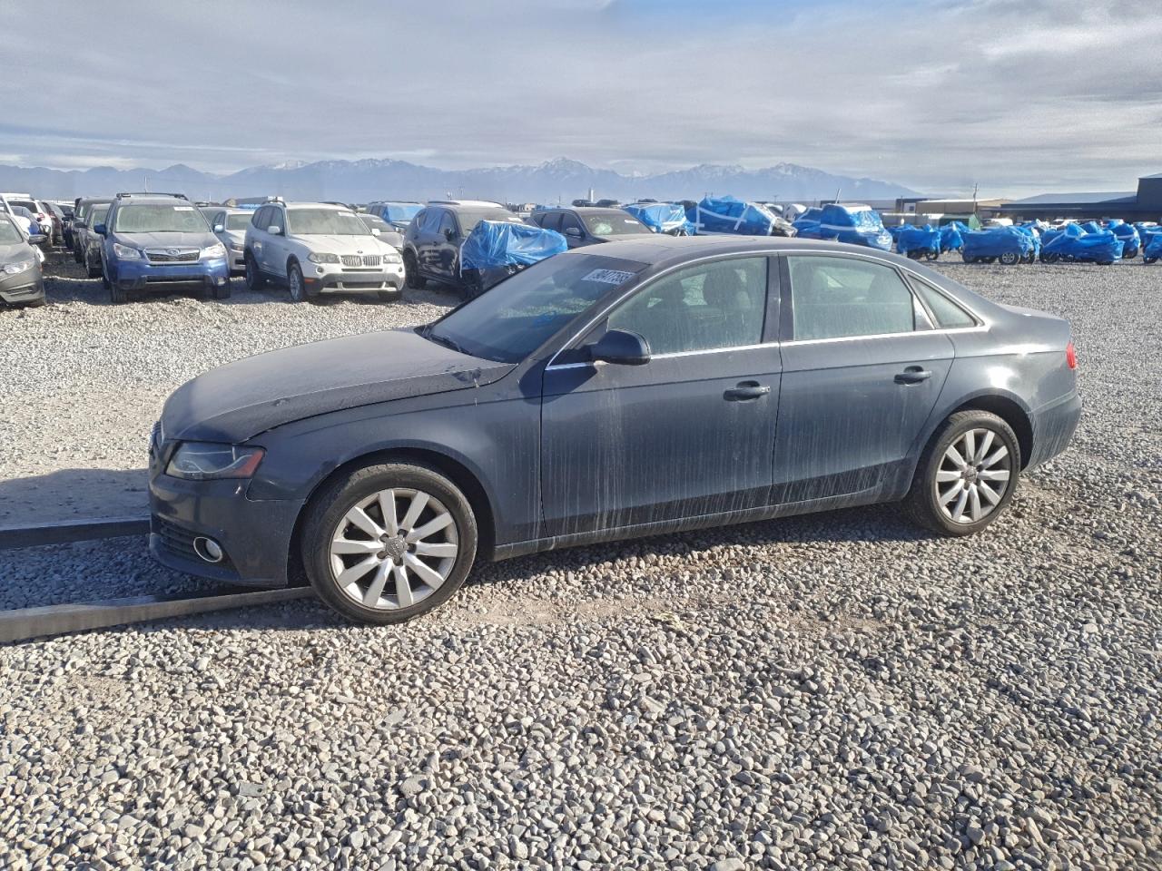 AUDI A4 PREMIUM 2011