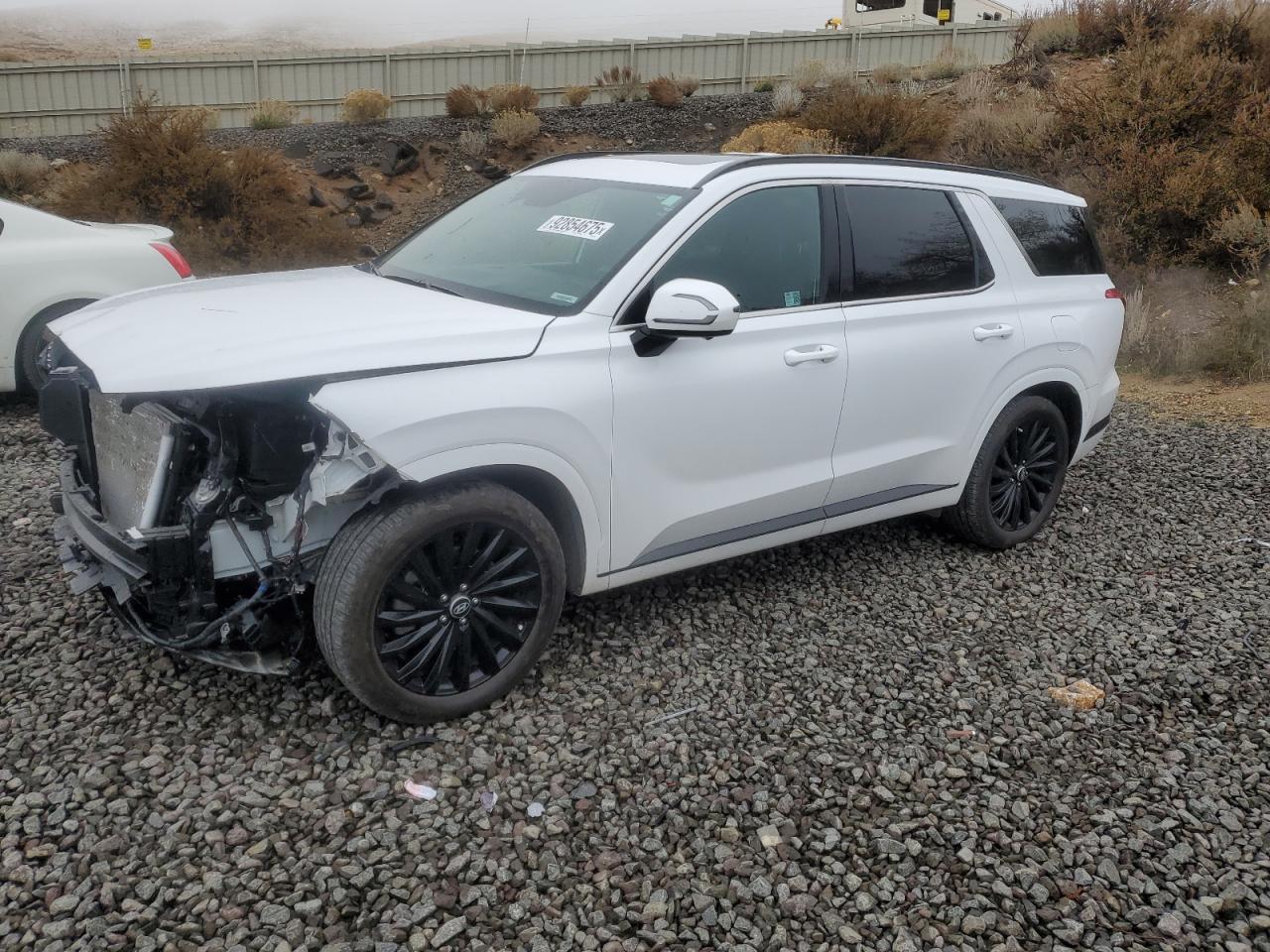 HYUNDAI PALISADE C 2025