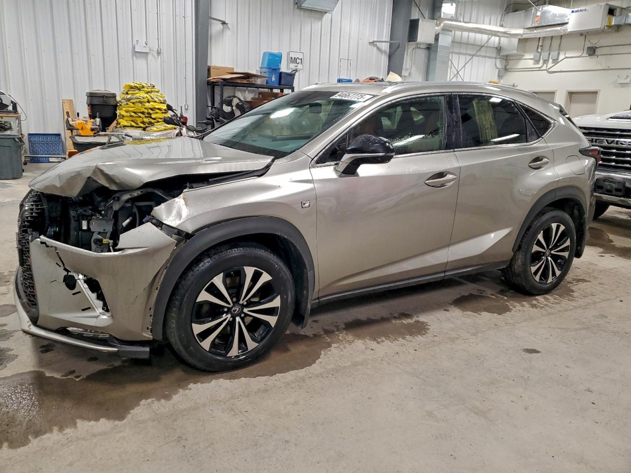 LEXUS NX 2019