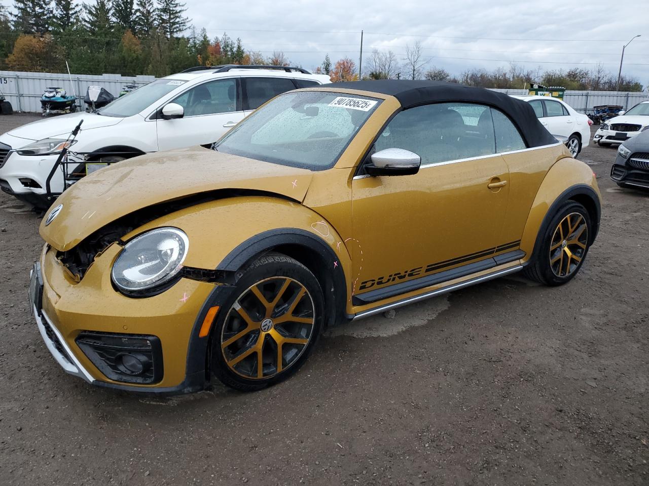 VOLKSWAGEN BEETLE DUN 2018