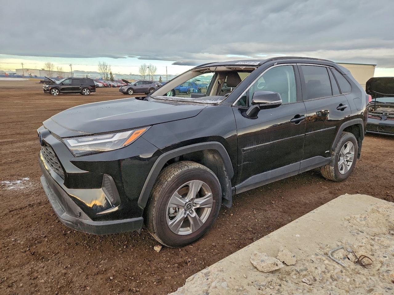 TOYOTA RAV4 XLE 2024