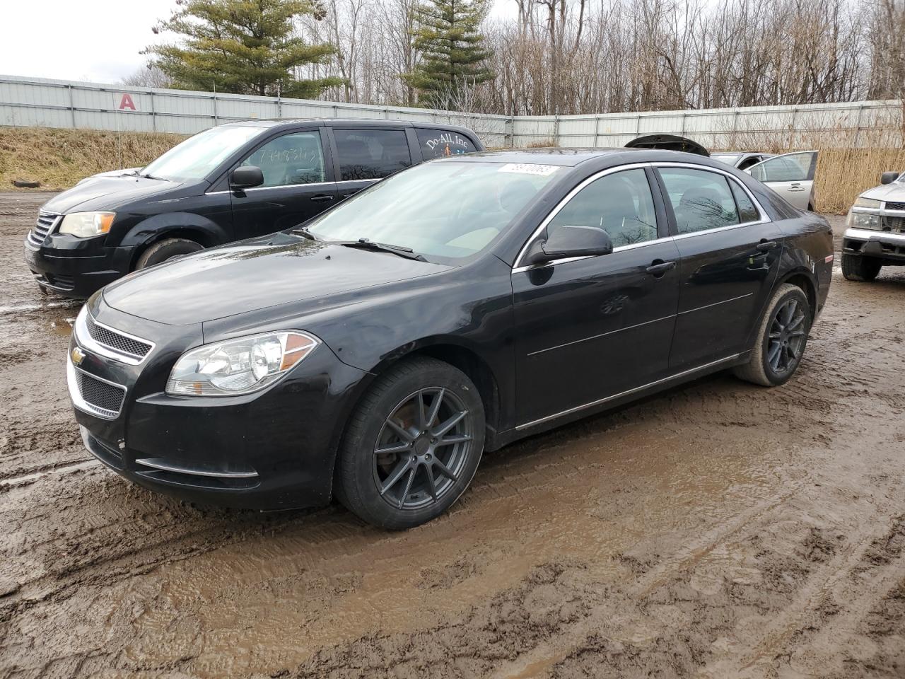CHEVROLET MALIBU 1LT 2011