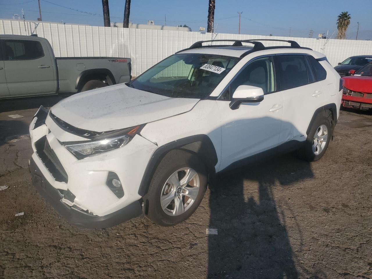 TOYOTA RAV4 XLE 2019