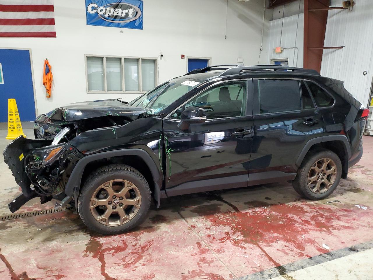 TOYOTA RAV4 WOODL 2023