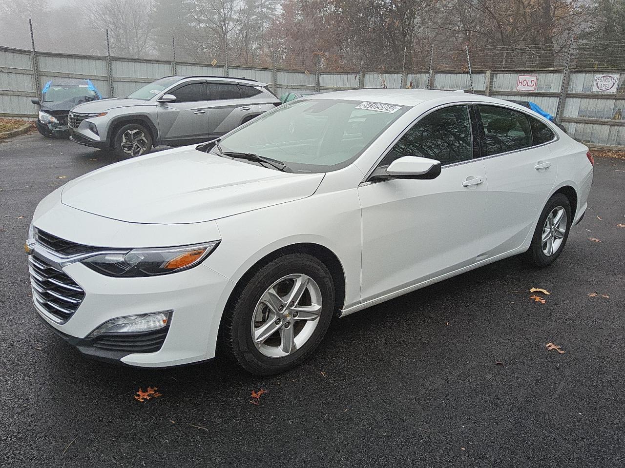 CHEVROLET MALIBU LT 2023