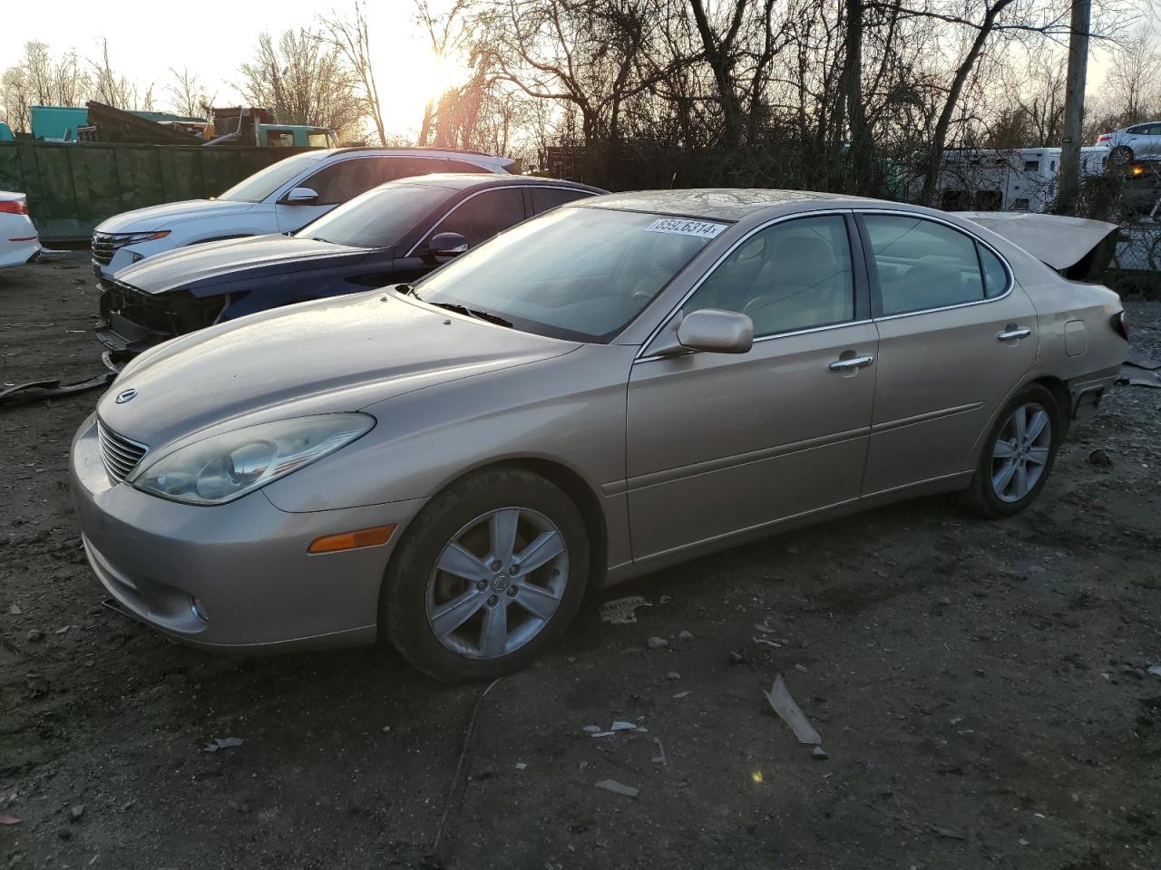 LEXUS ES 330 2005