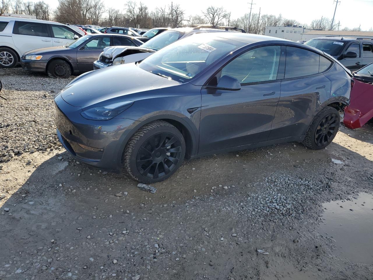 TESLA MODEL Y 2023
