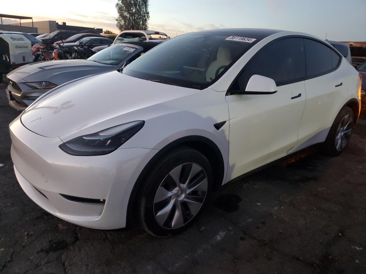 TESLA MODEL Y 2023
