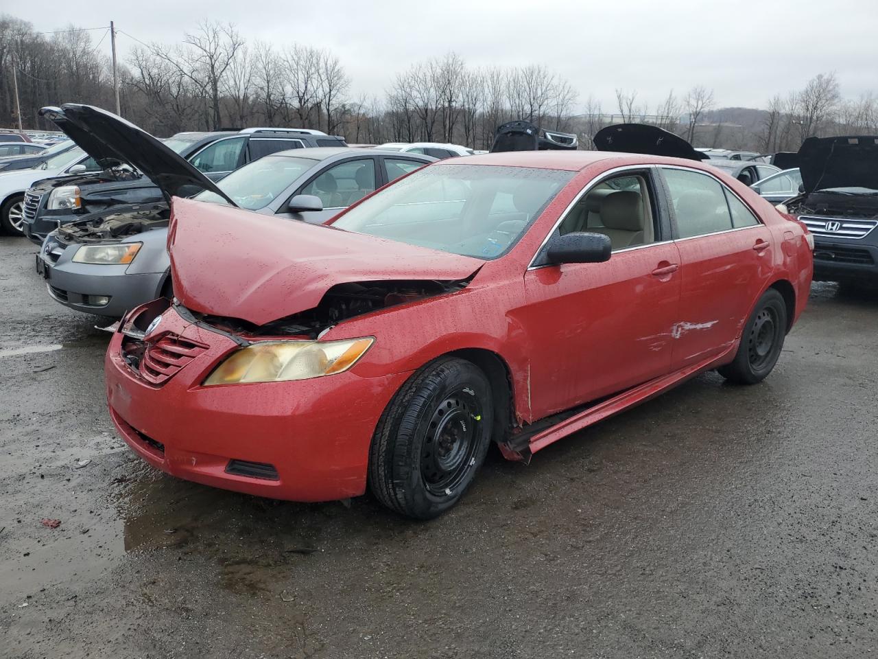 TOYOTA CAMRY BASE 2009