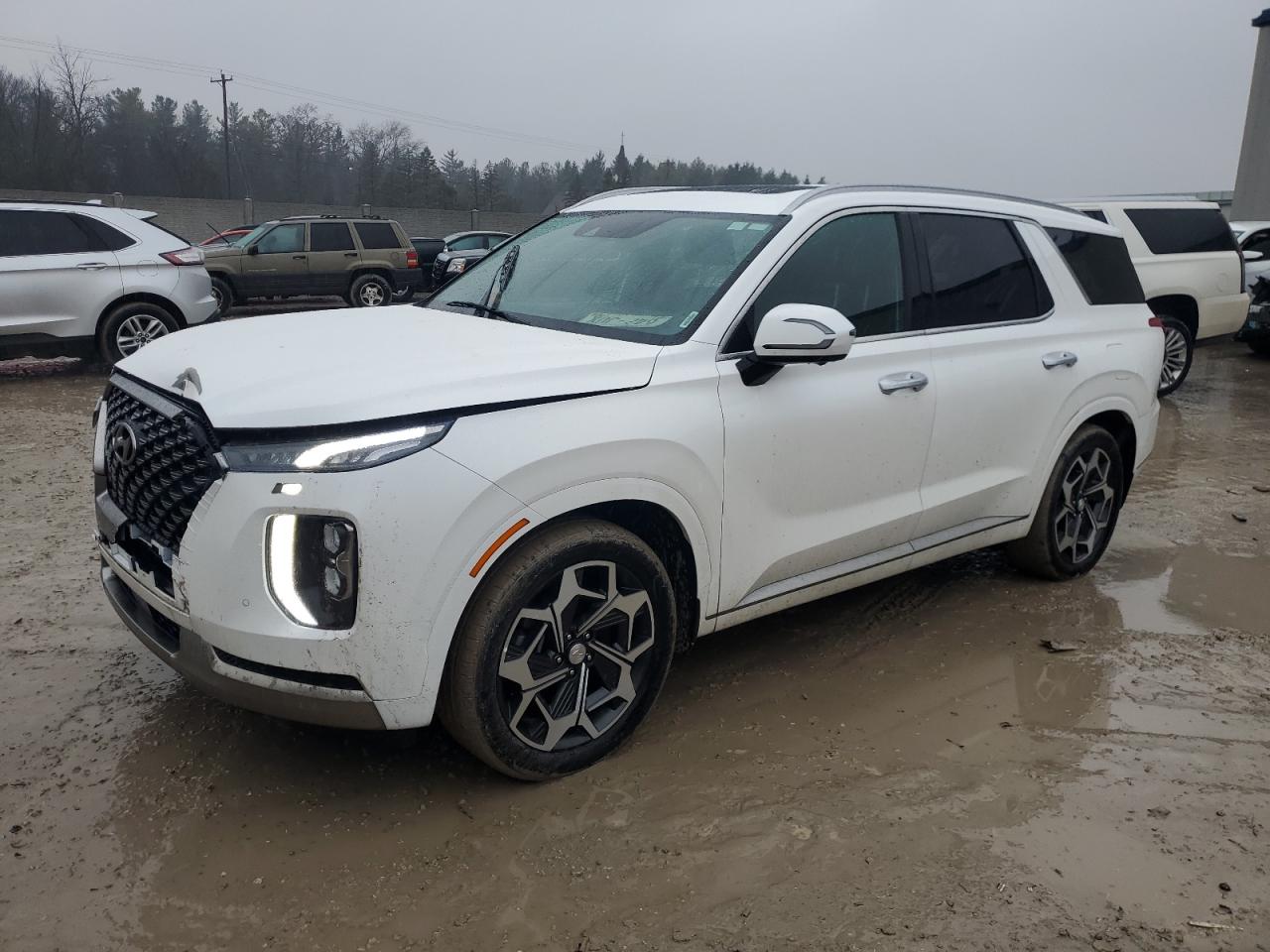 HYUNDAI PALISADE C 2022