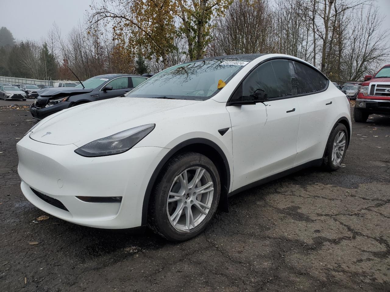 TESLA MODEL Y 2023