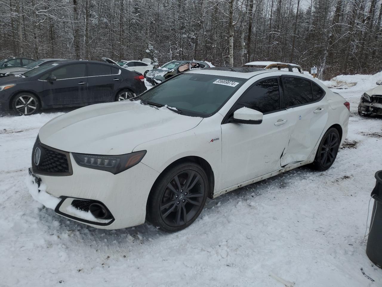 ACURA TLX TECHNO 2020