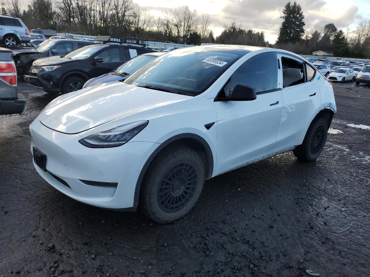 TESLA MODEL Y 2020