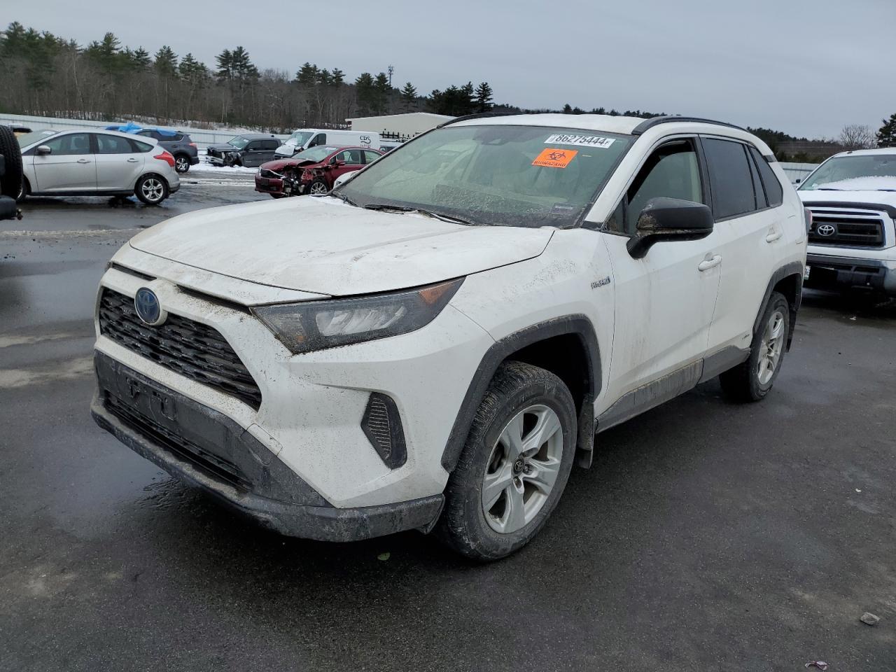 TOYOTA RAV4 LE 2019