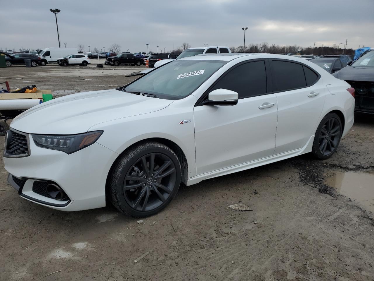 ACURA TLX TECHNO 2020