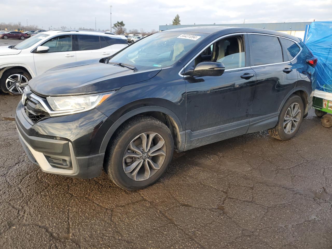 HONDA CR-V EX 2022