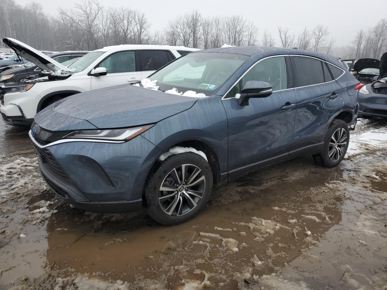 TOYOTA VENZA LE 2023