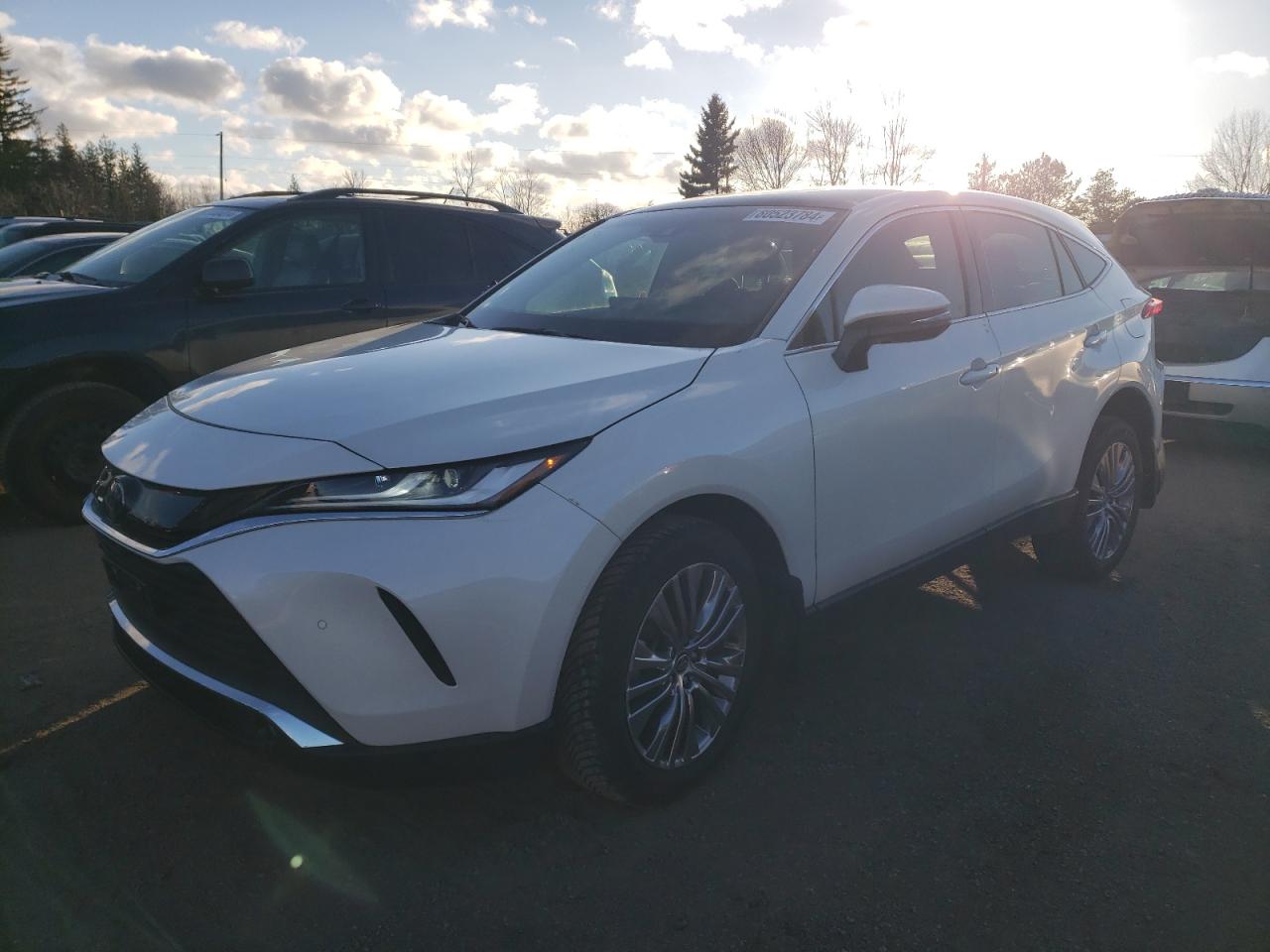 TOYOTA VENZA LE 2022