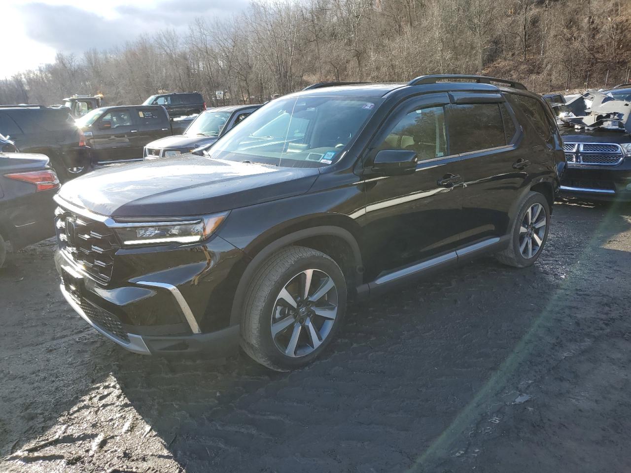 HONDA PILOT TOUR 2024