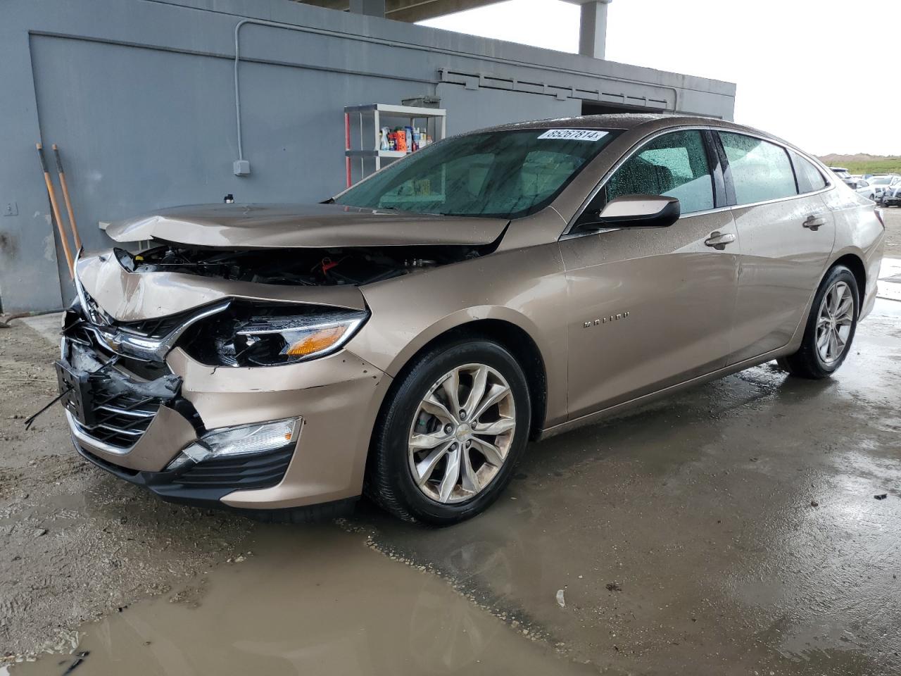 CHEVROLET MALIBU LT 2019