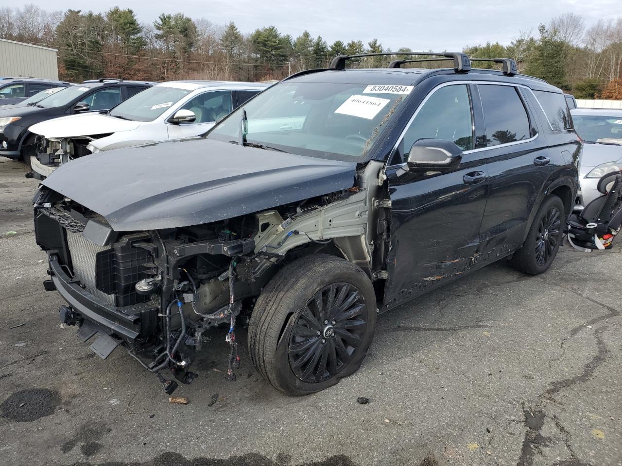 HYUNDAI PALISADE C 2024
