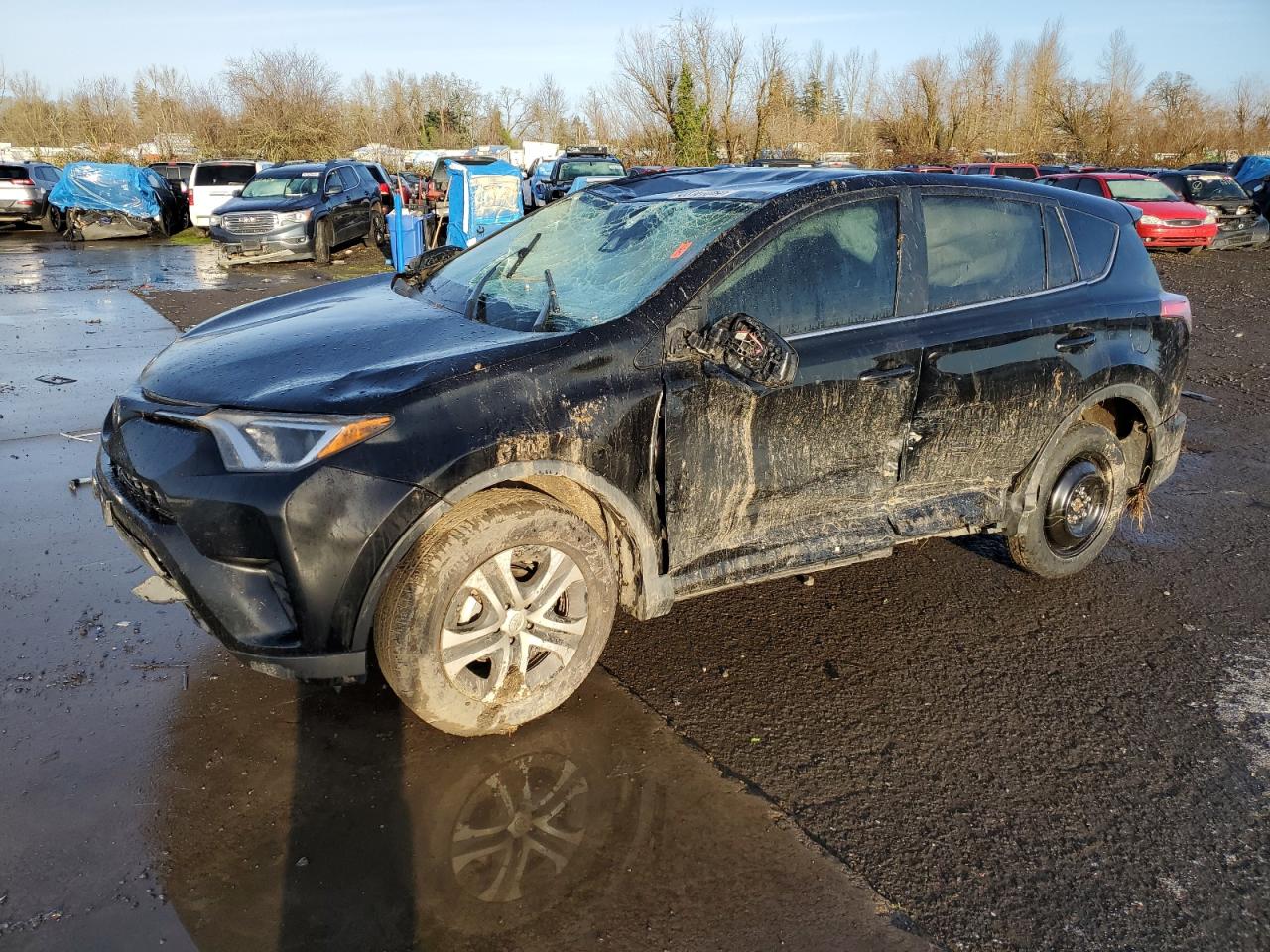TOYOTA RAV4 LE 2018