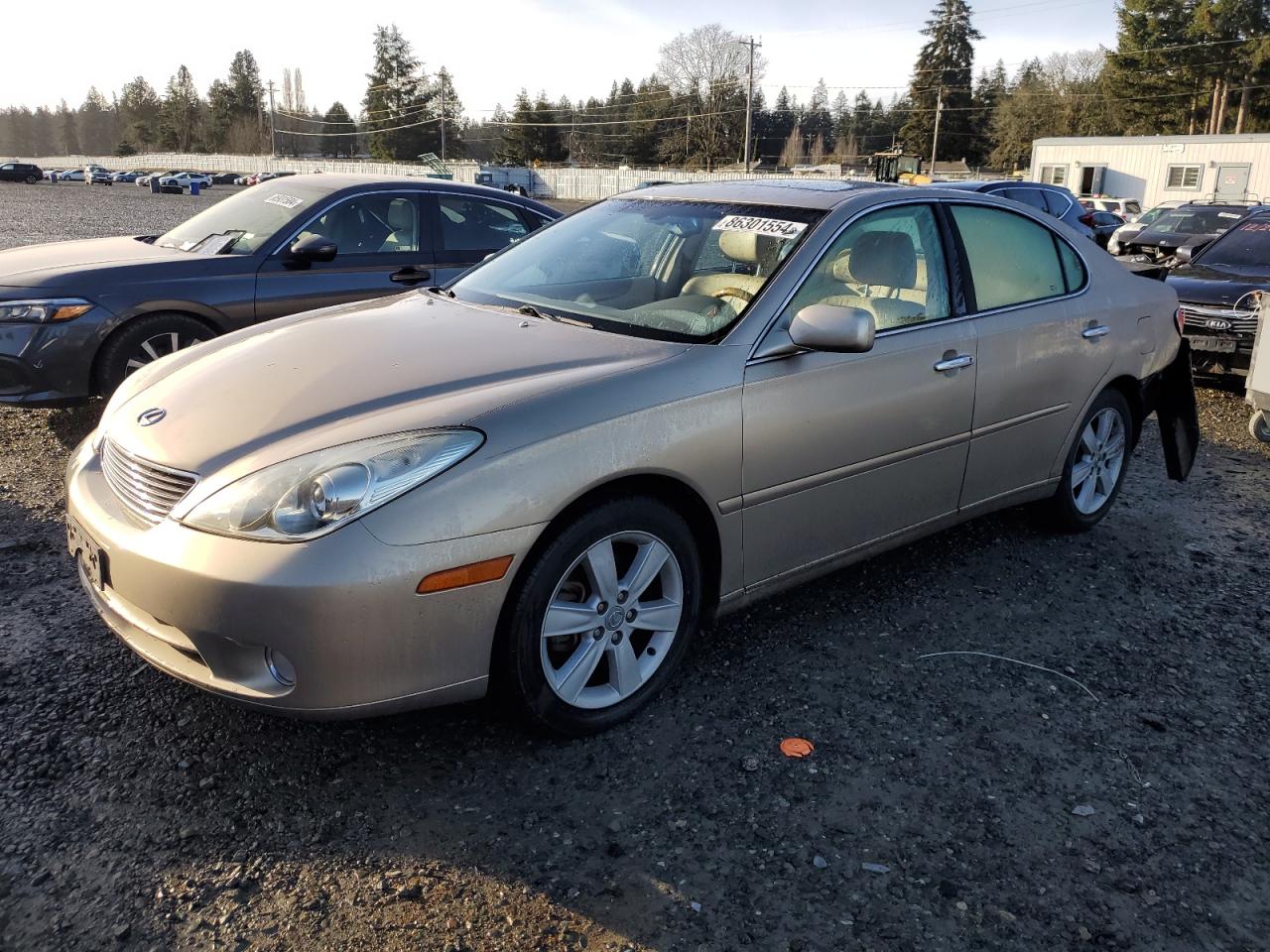 LEXUS ES 330 2005