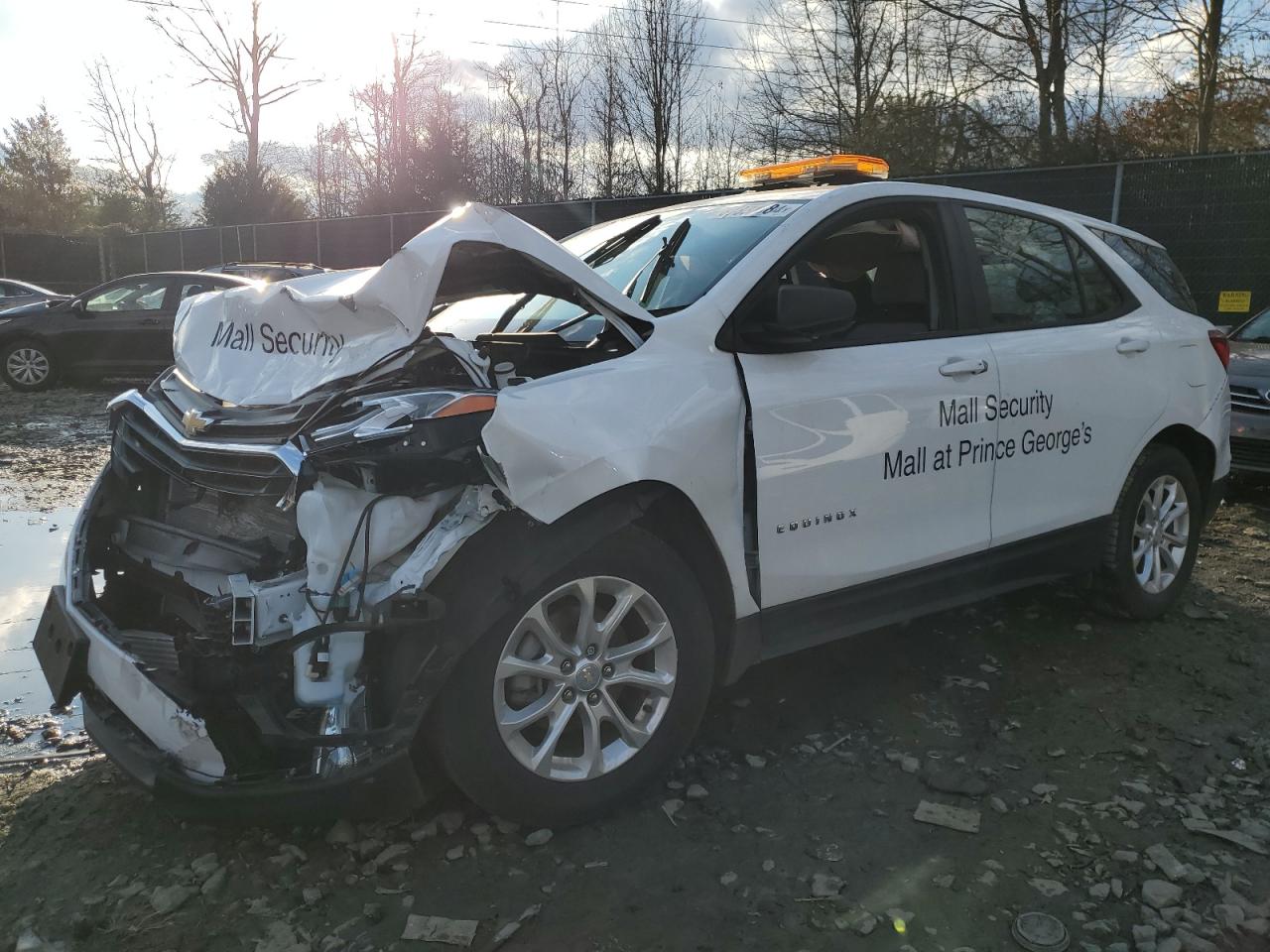 CHEVROLET EQUINOX LS 2021