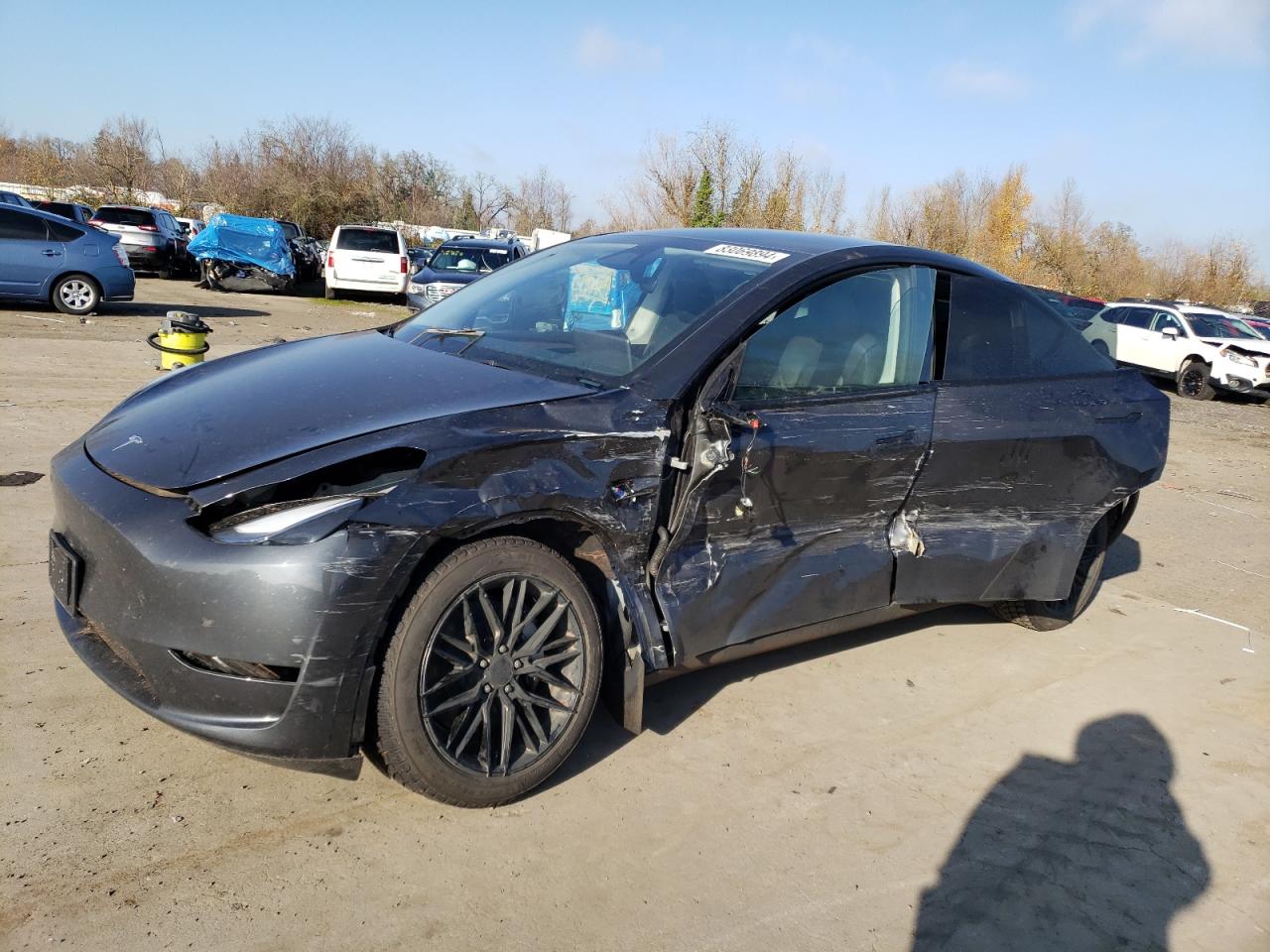 TESLA MODEL Y 2024