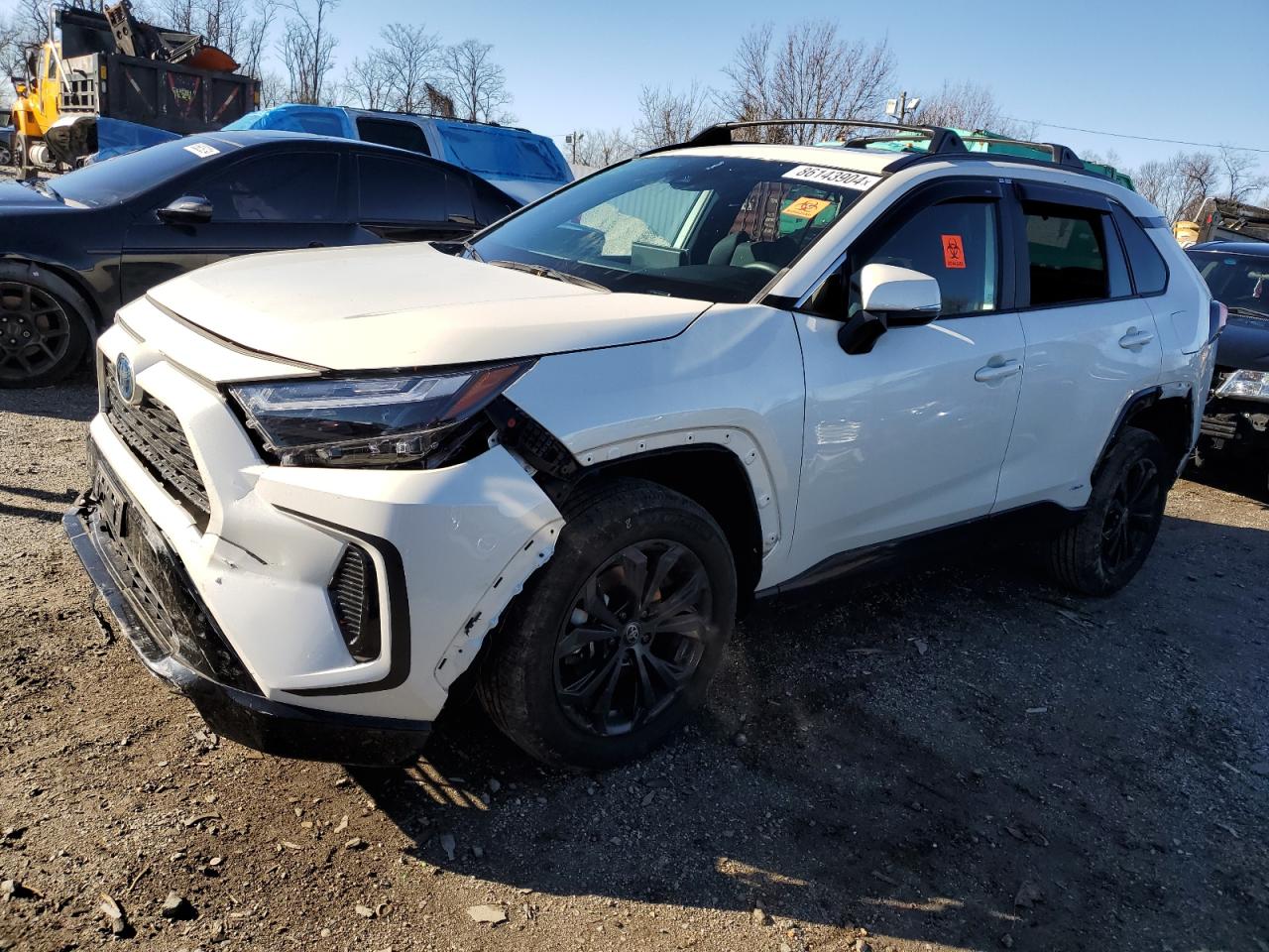 TOYOTA RAV4 SE 2022