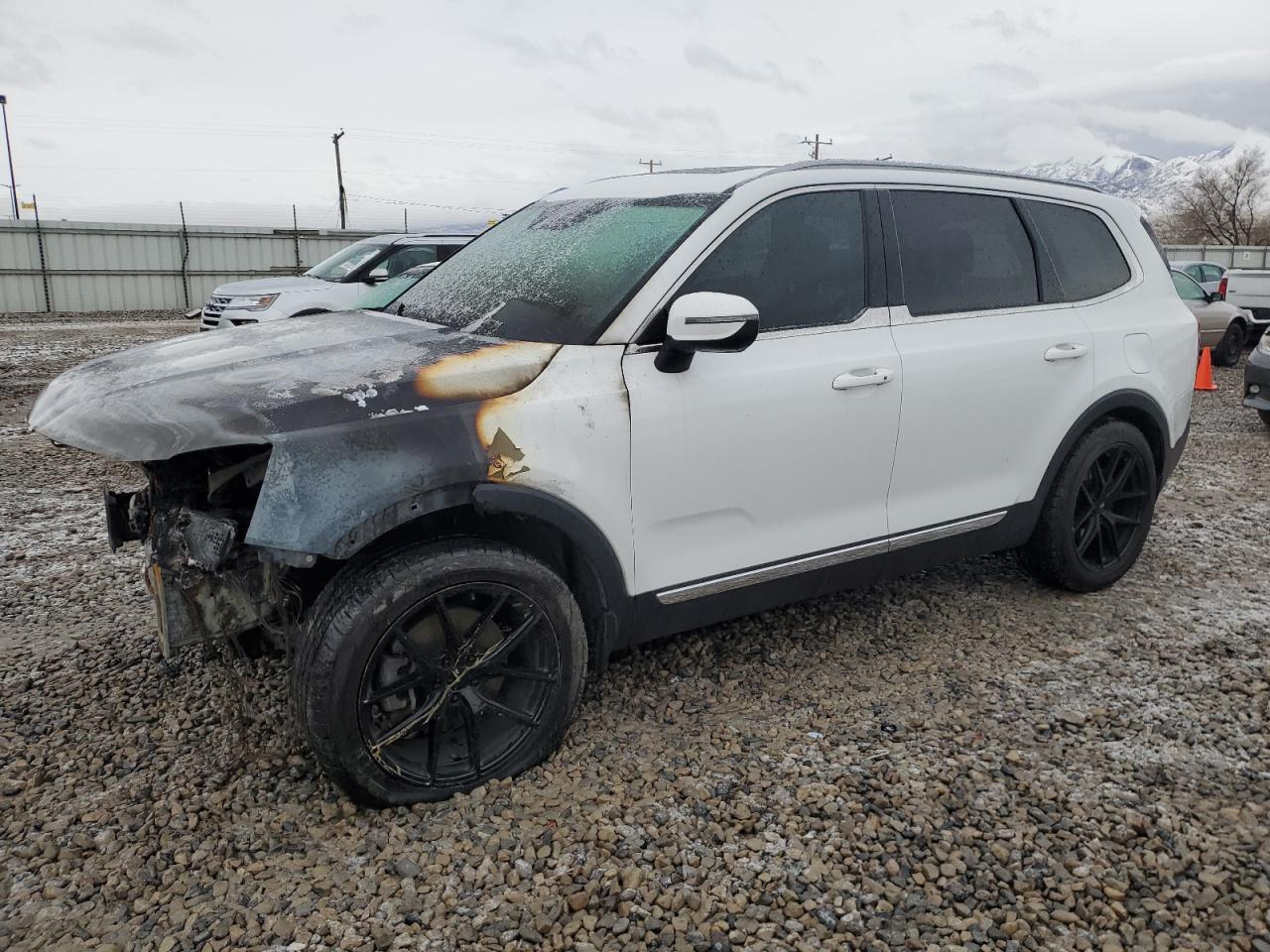 KIA TELLURIDE 2020