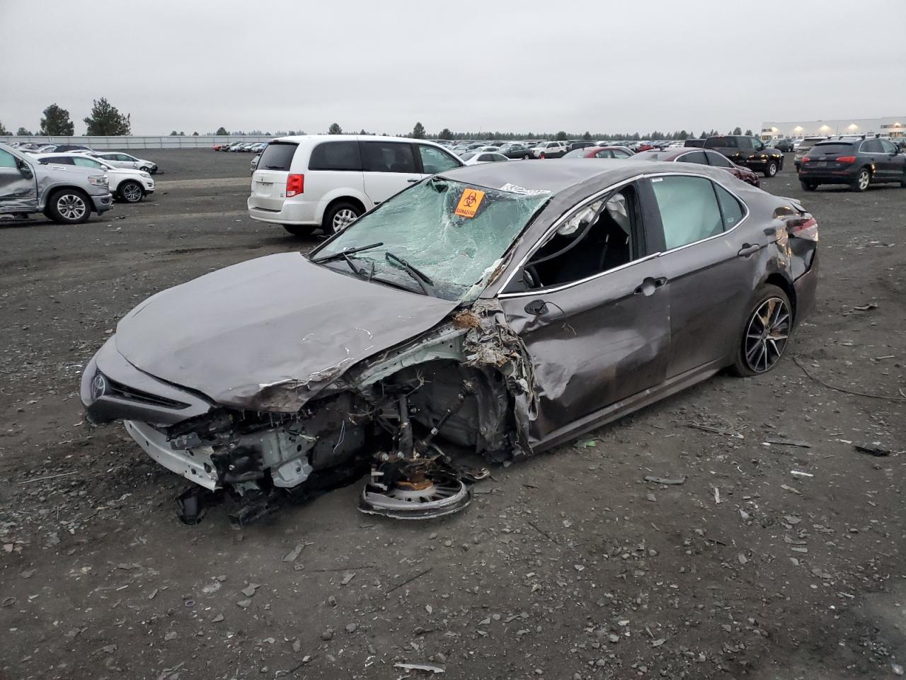 TOYOTA CAMRY SE N 2024