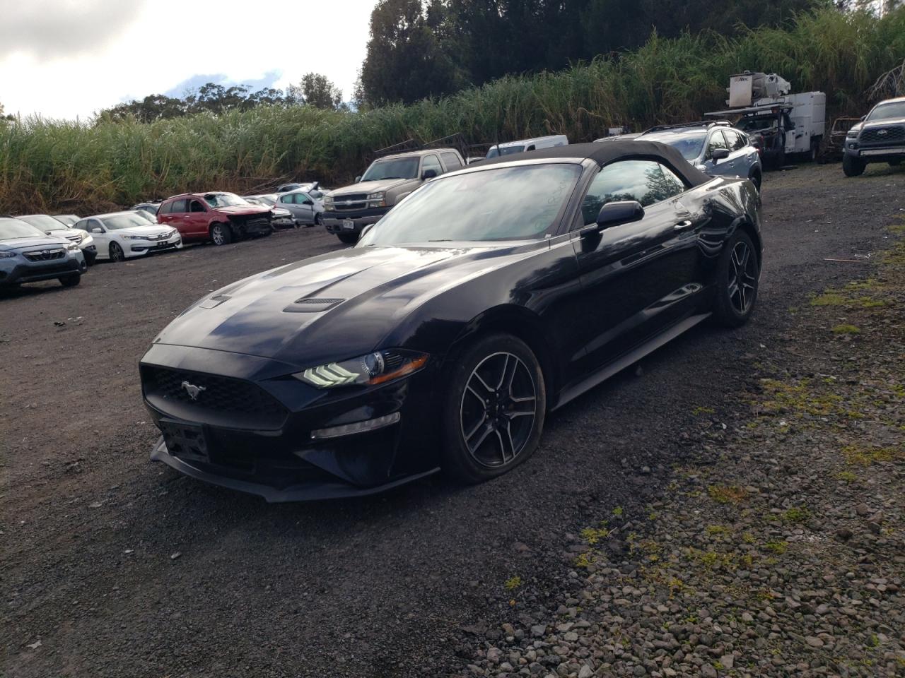 FORD MUSTANG 2023
