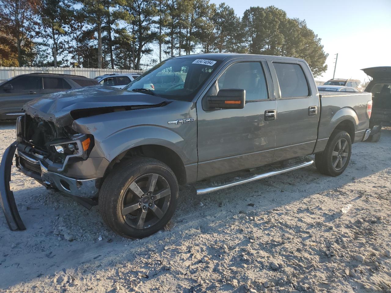 FORD F-150 2013