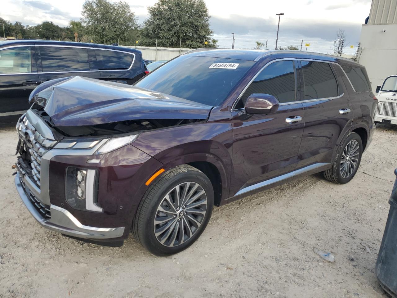 HYUNDAI PALISADE C 2024