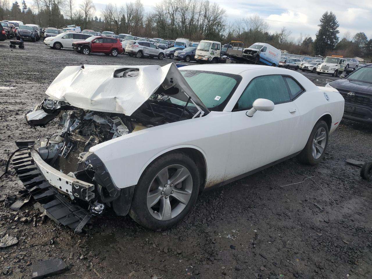 DODGE CHALLENGER 2019