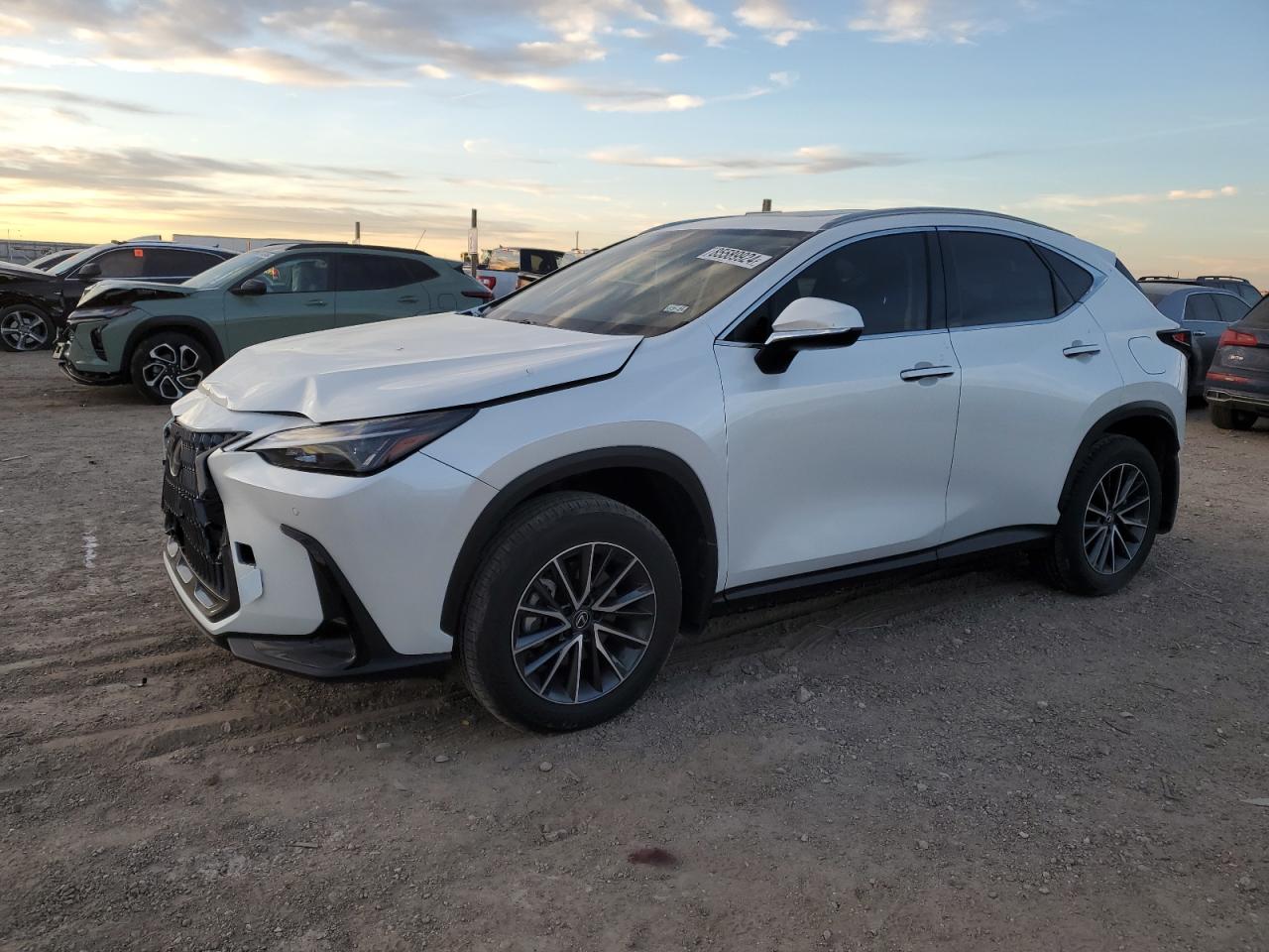 LEXUS NX 2024