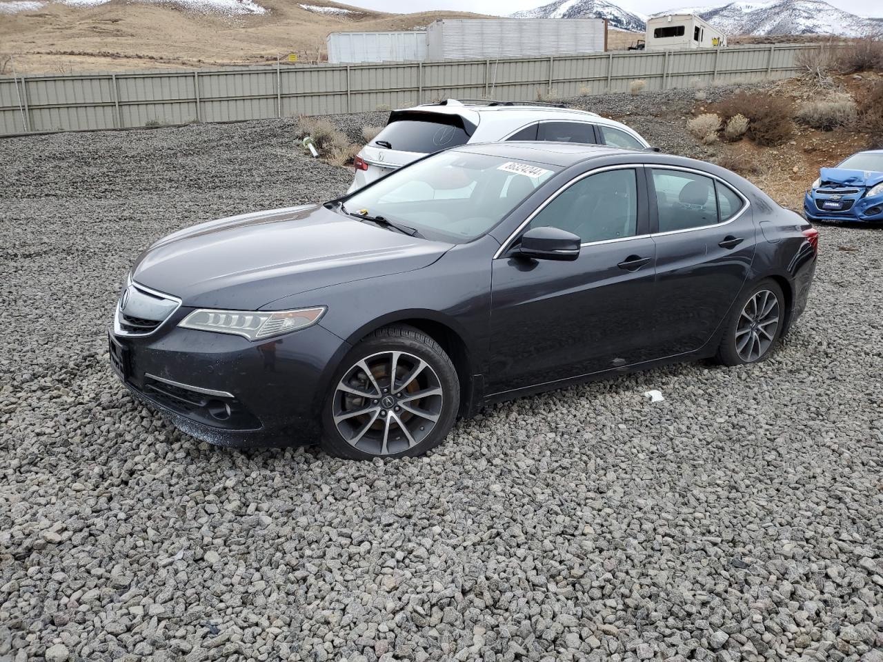 ACURA TLX ADVANC 2015