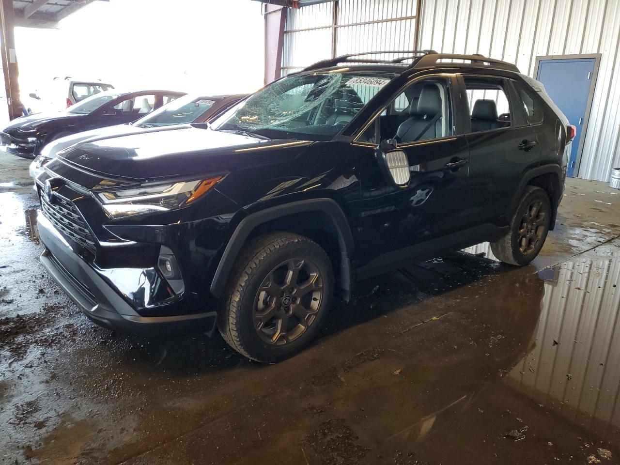 TOYOTA RAV4 WOODL 2024