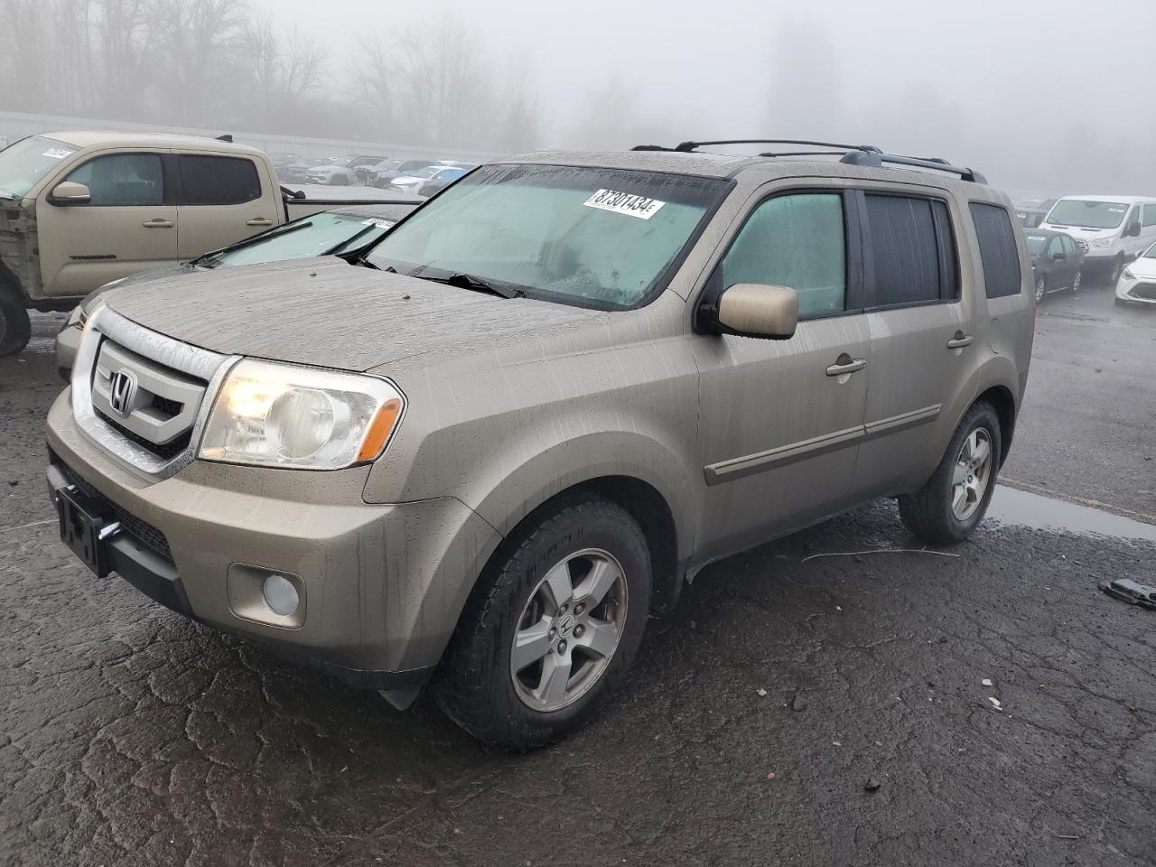 HONDA PILOT EXL 2009