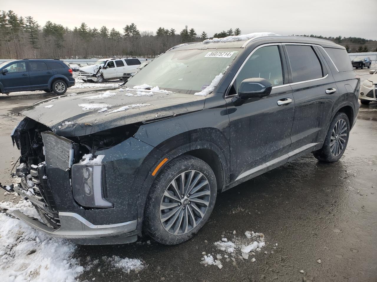 HYUNDAI PALISADE C 2024