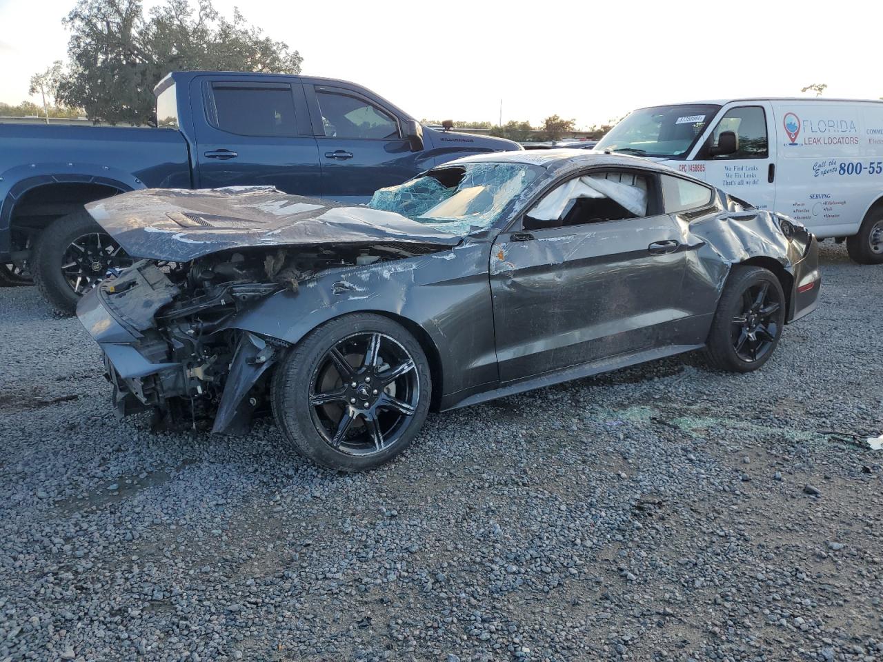 FORD MUSTANG 2019