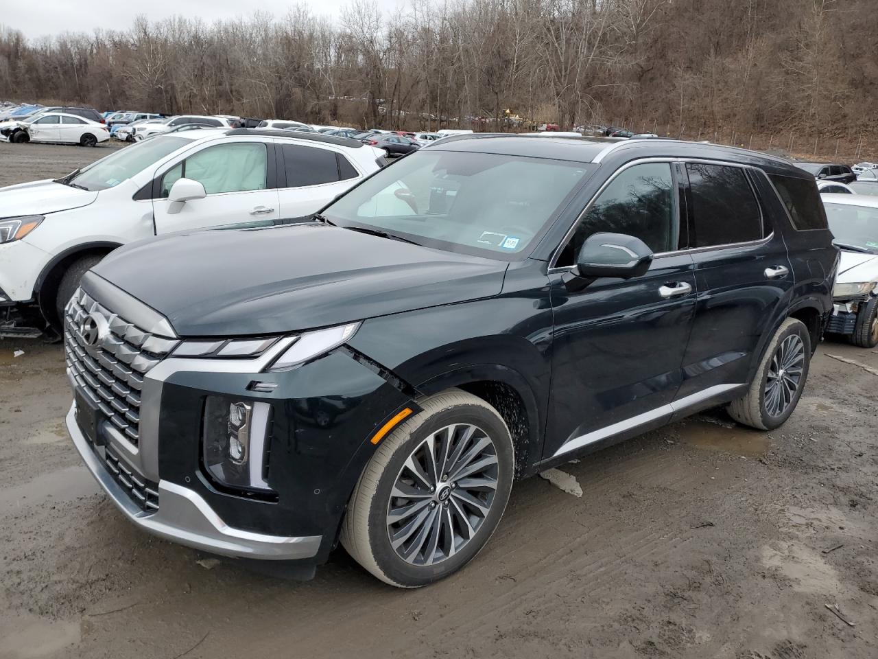 HYUNDAI PALISADE C 2023