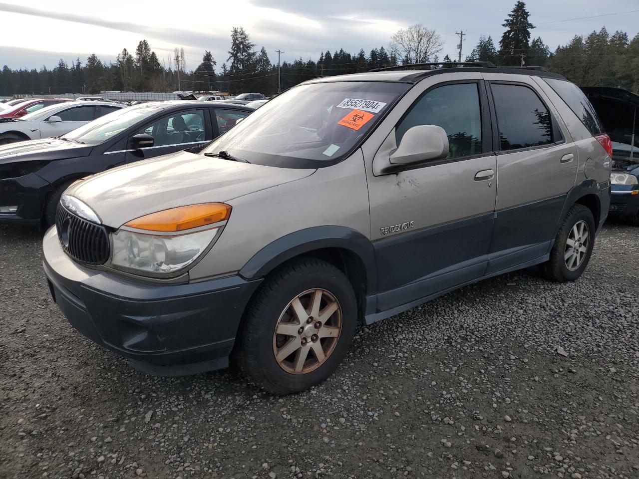 BUICK RENDEZVOUS 2002