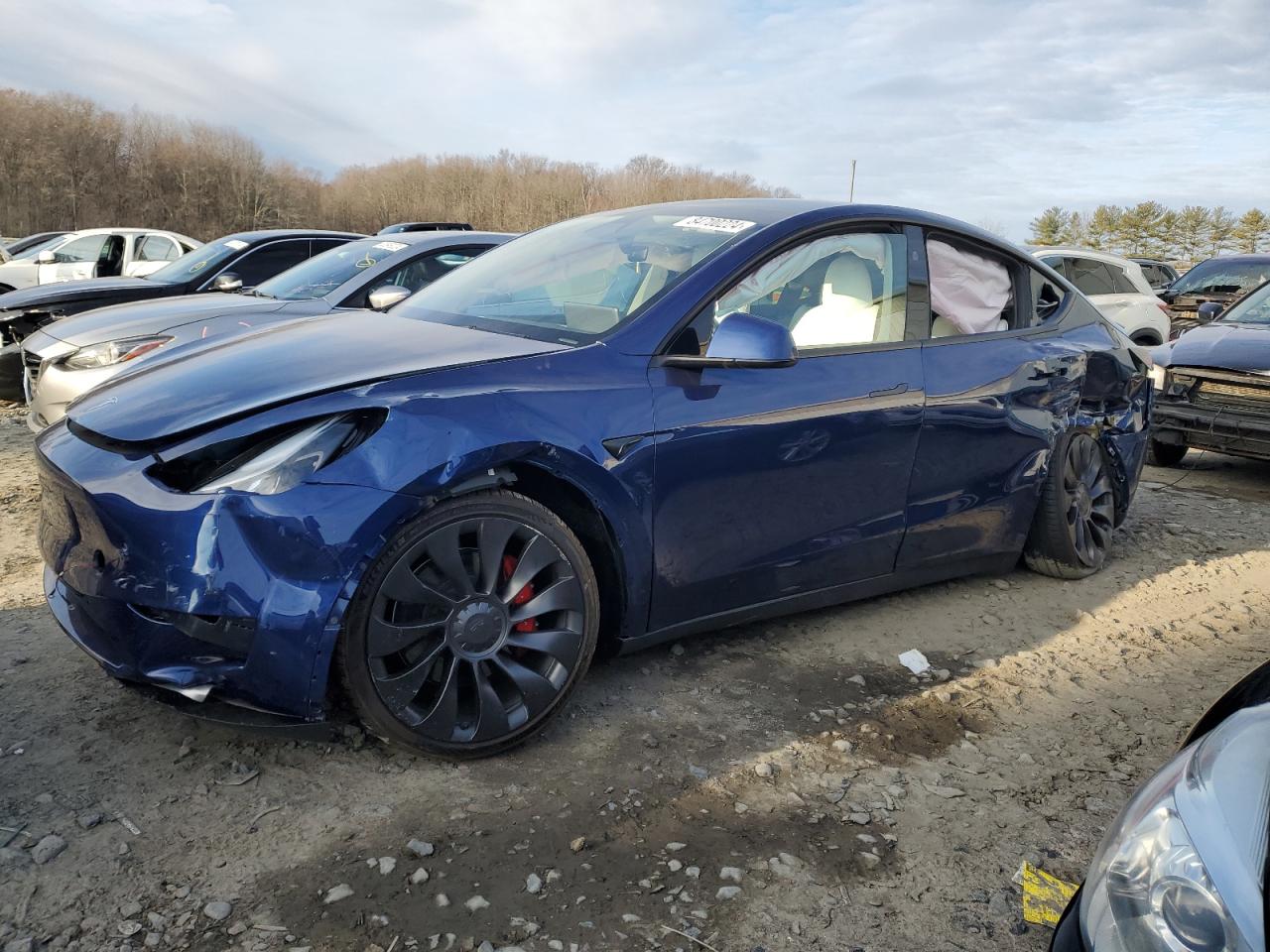 TESLA MODEL Y 2024