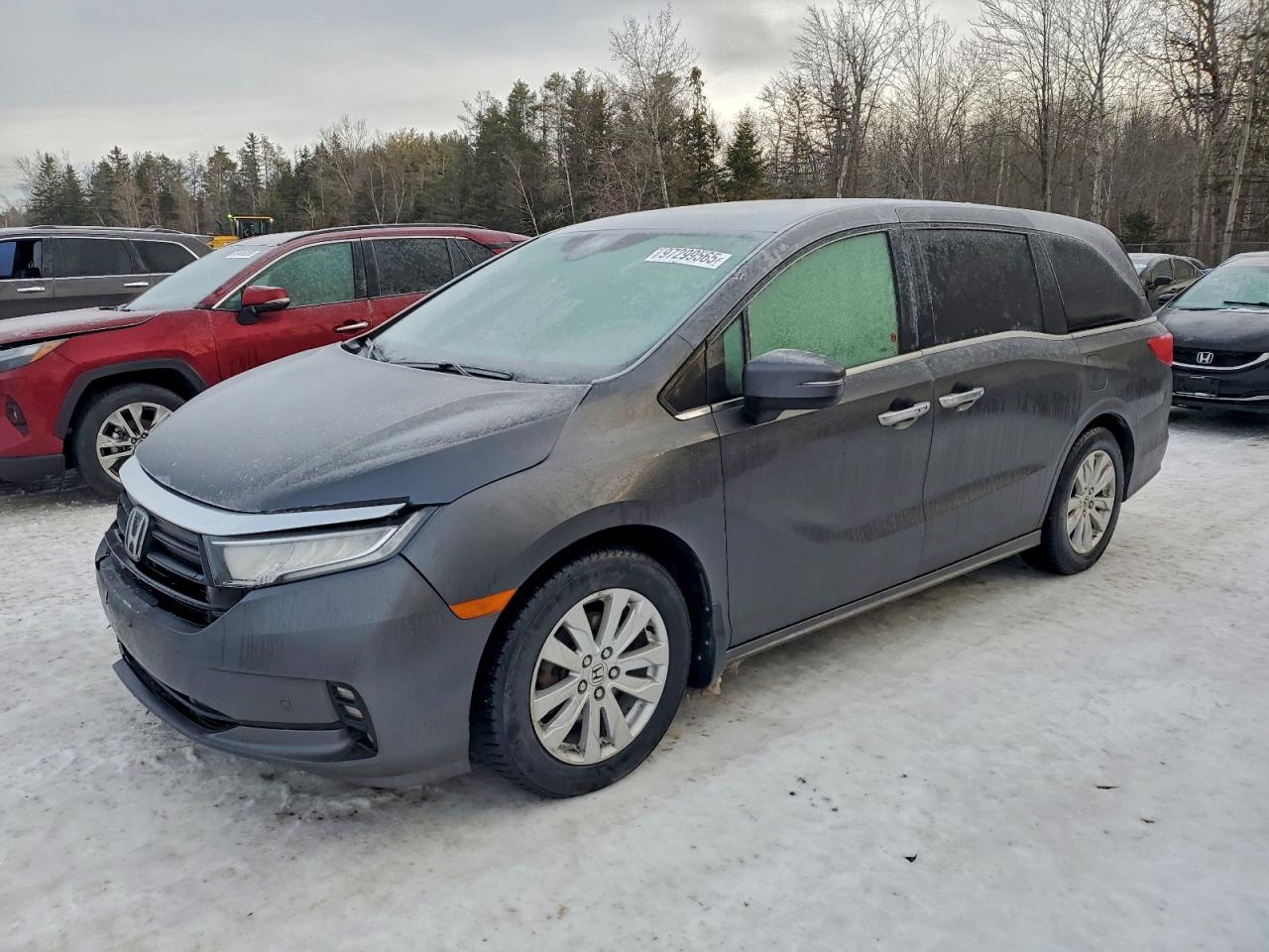 HONDA ODYSSEY 2023
