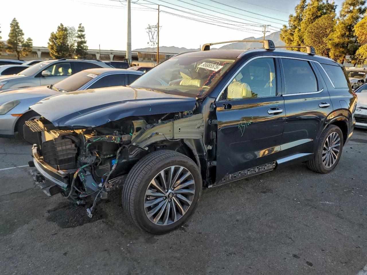 HYUNDAI PALISADE C 2024