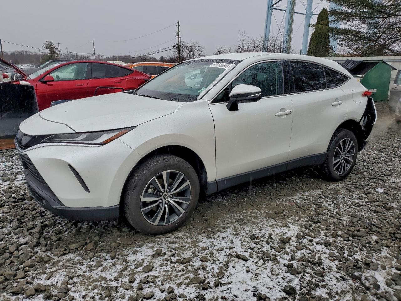 TOYOTA VENZA LE 2024