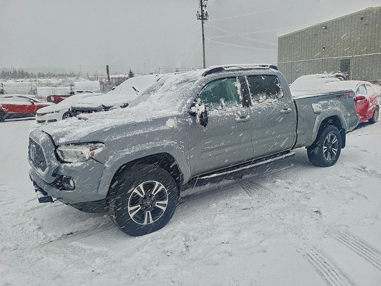 TOYOTA TACOMA 2019